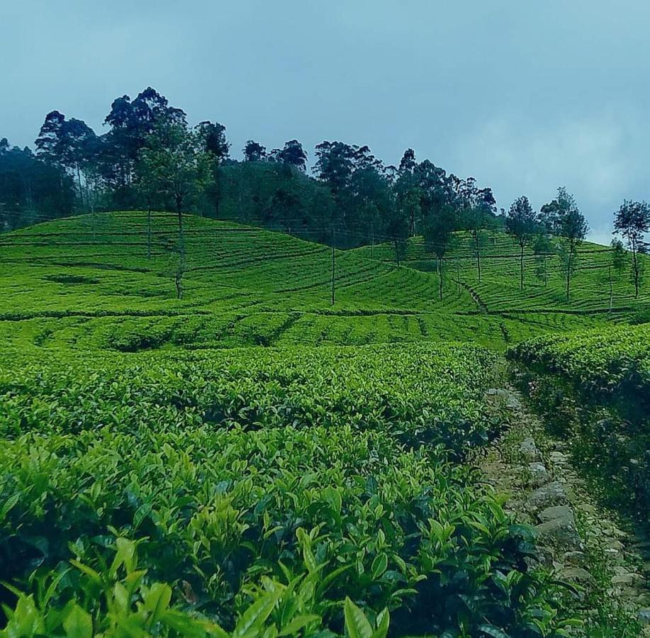 Golden Villa Kandy - "Free Pickup From Kandy " Bagian luar foto